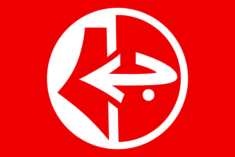 Popular Front for the Liberation of Palestine (PFLP) flag