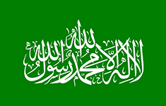 HAMAS flag